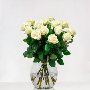 Witte rozen